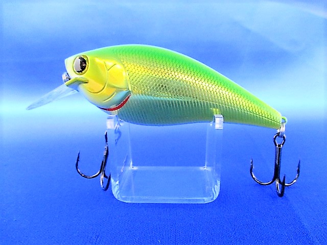 FAT CB B.D.S. 6