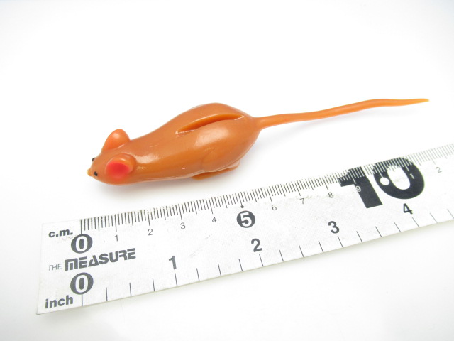 CTノラネズミマグナム