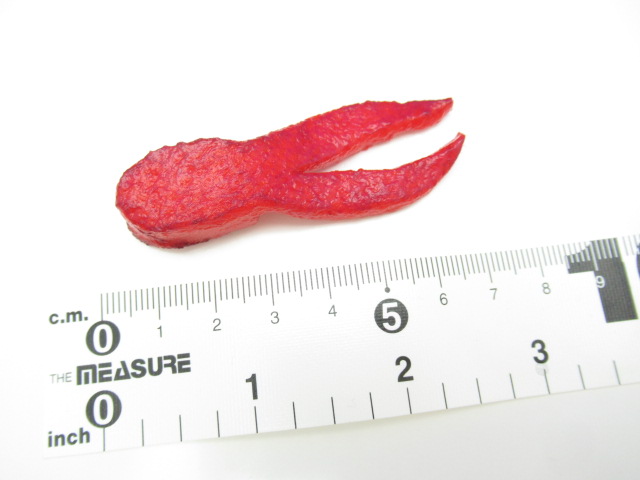 ピッグダディーjr ルアー通販ショップ 7palms Web店