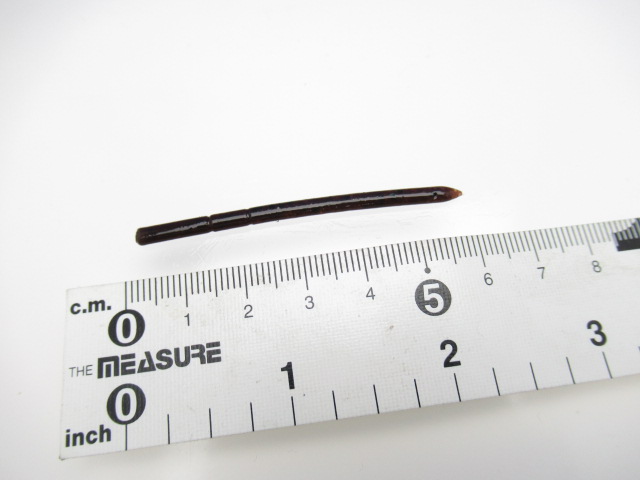 アノストレート 2.5”