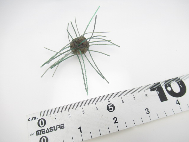 サイコロラバー Vol.3(12mm)