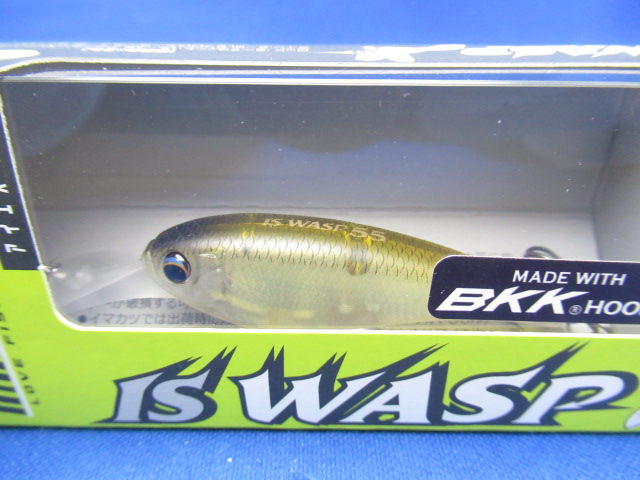 IS WASP 55 SP