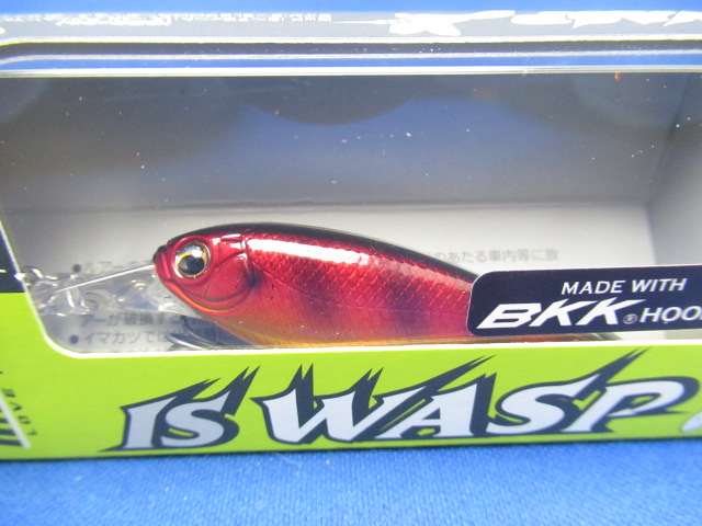 IS WASP 55 SP