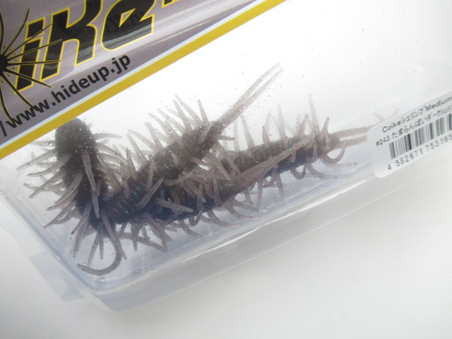 コイケシュリンプ ミディアム