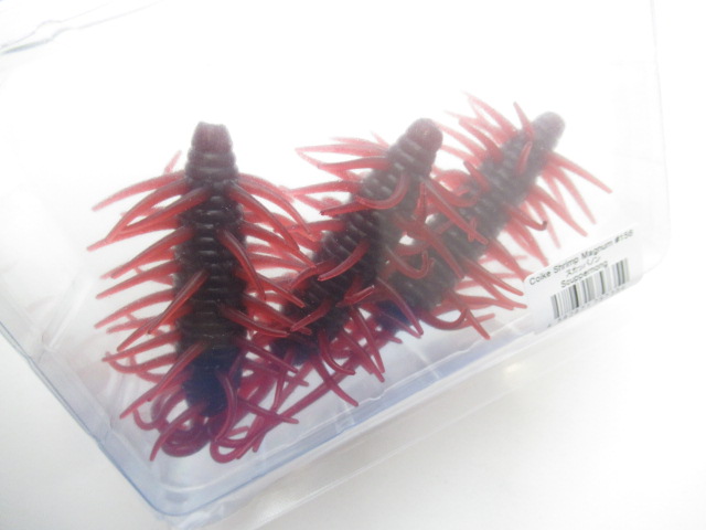 コイケシュリンプマグナム