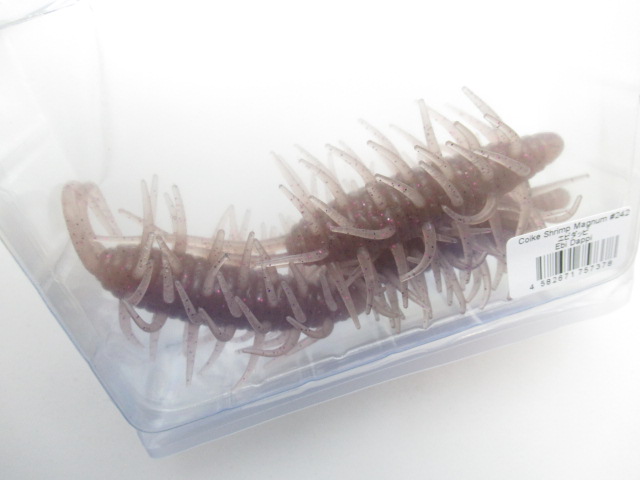 コイケシュリンプマグナム