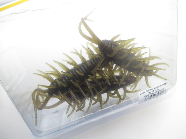 コイケシュリンプマグナム