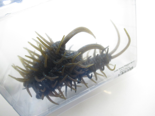 コイケシュリンプマグナム