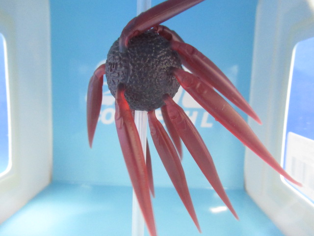 HU COIKE FISH L エラストマー