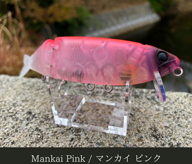 スナッチビックベイト バッツ スナッチ 浜金シャチ2025 限定カラー